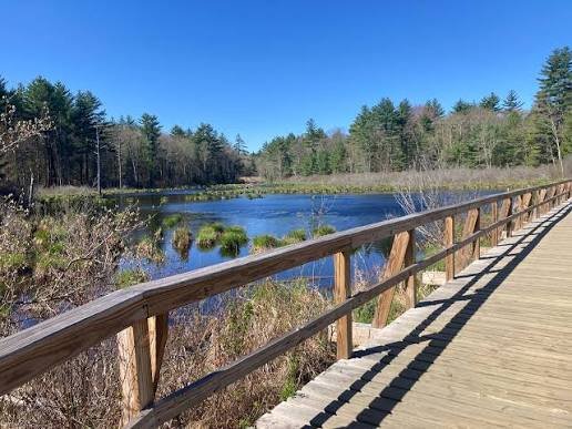 The Piscassic Greenway boardwalk