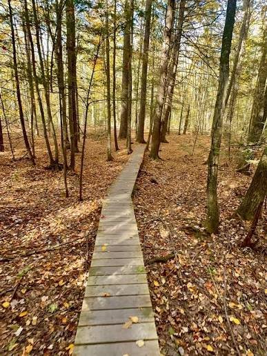 Wiggin Farm Conservation Area